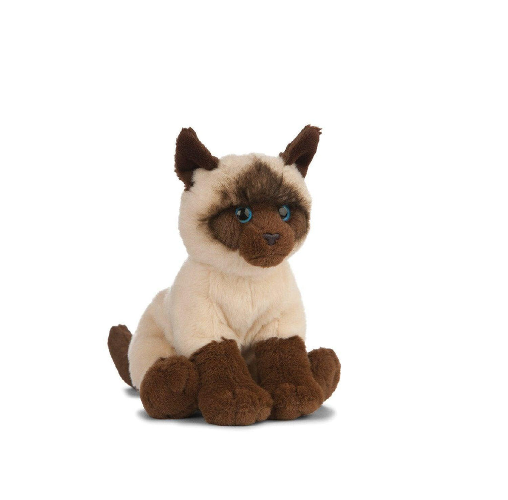 LIVING NATURE AN483 Siamese Cat 20cm Soft Toy - TOYBOX Toy Shop