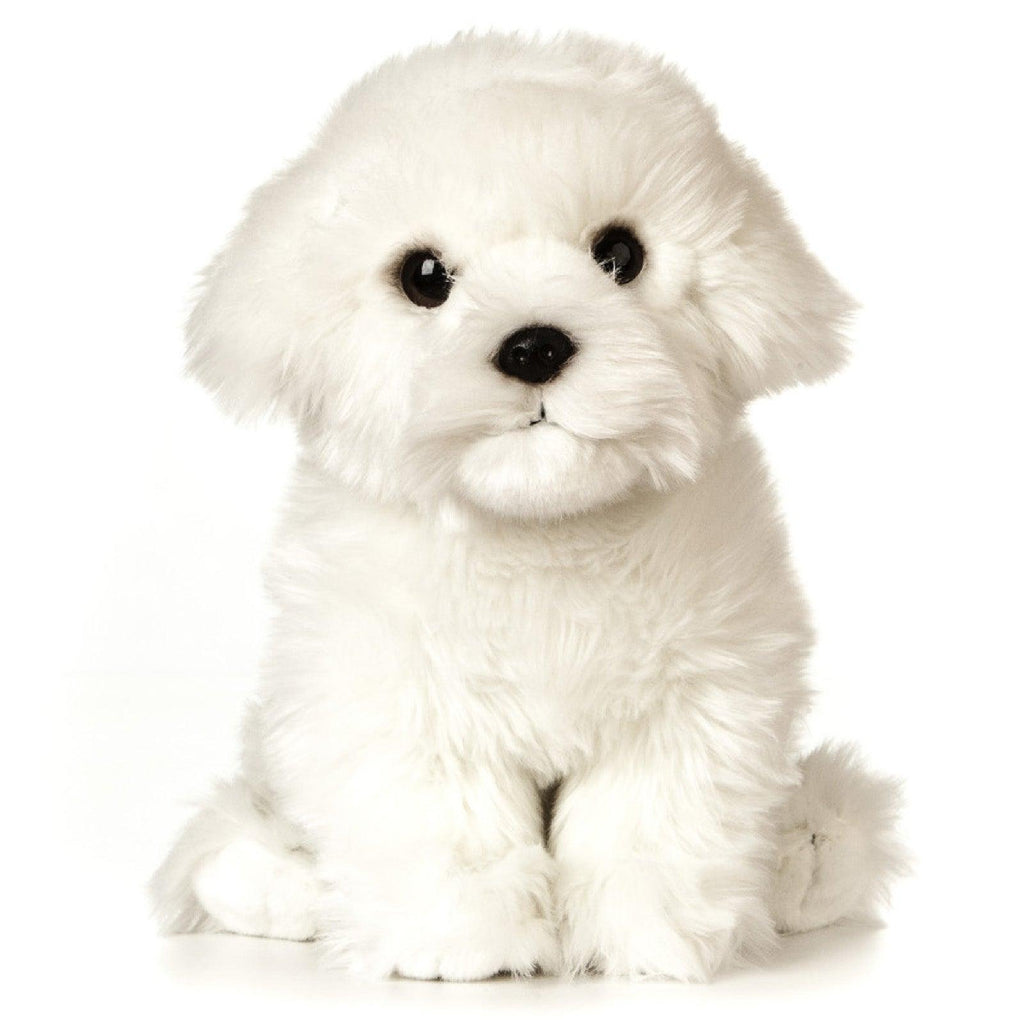 LIVING NATURE Giant Maltese Puppy 25cm Soft Toy - TOYBOX Toy Shop