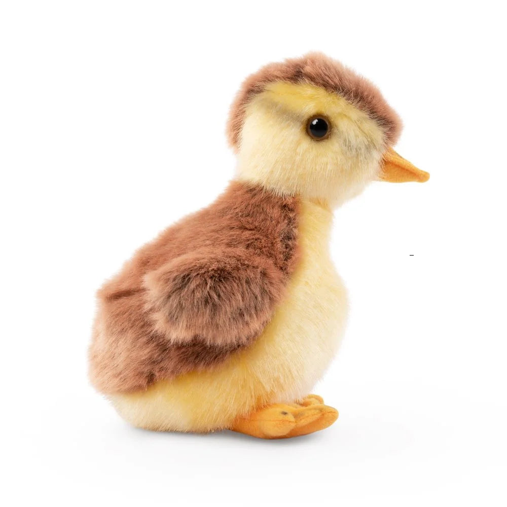 Living Nature Mallard Duckling Soft Toy - TOYBOX Toy Shop