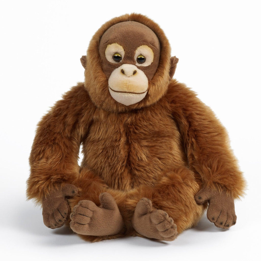 LIVING NATURE Orangutan Monkey 30cm Soft Toy - TOYBOX Toy Shop