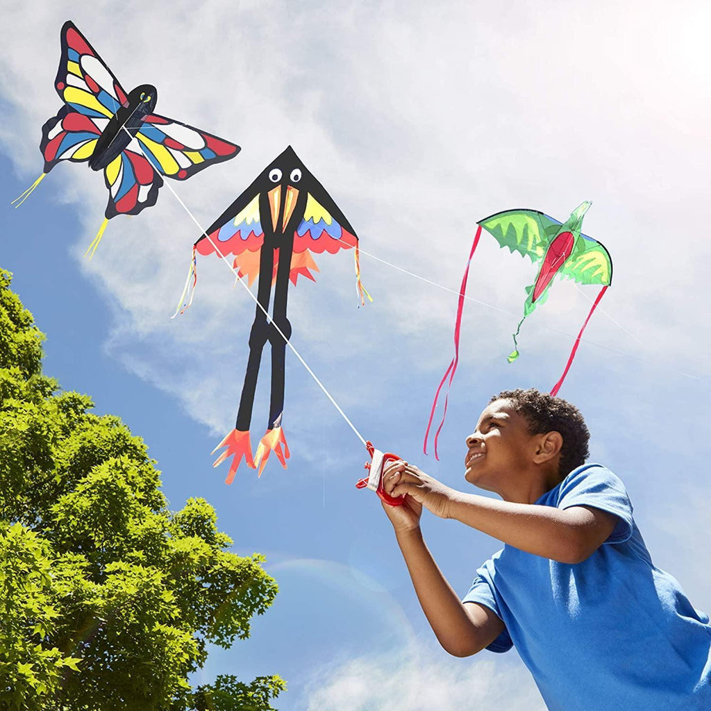 Melissa & Doug 40215 Multi-Colour Skyrunner Delta Kite - TOYBOX Toy Shop