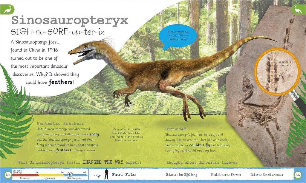My Encyclopedia of Very Import Dinosaurs - Hardback Book
