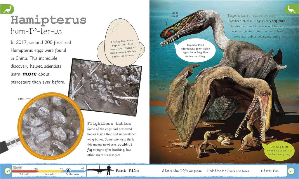 My Encyclopedia of Very Import Dinosaurs - Hardback Book