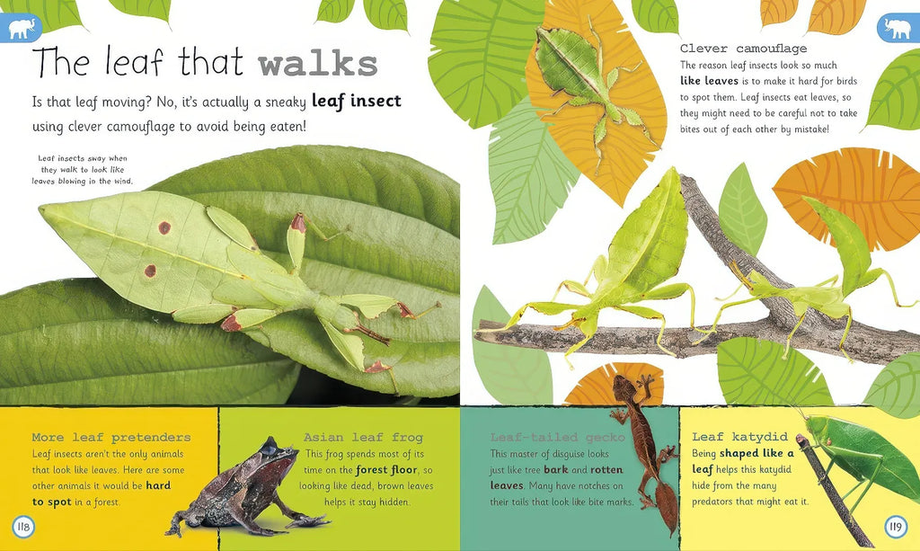 My Encyclopedia of Very Important Animals