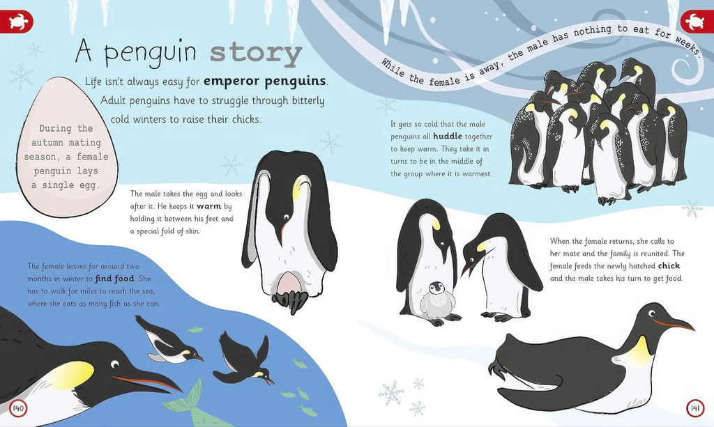 My Encyclopedia of Very Important Animals