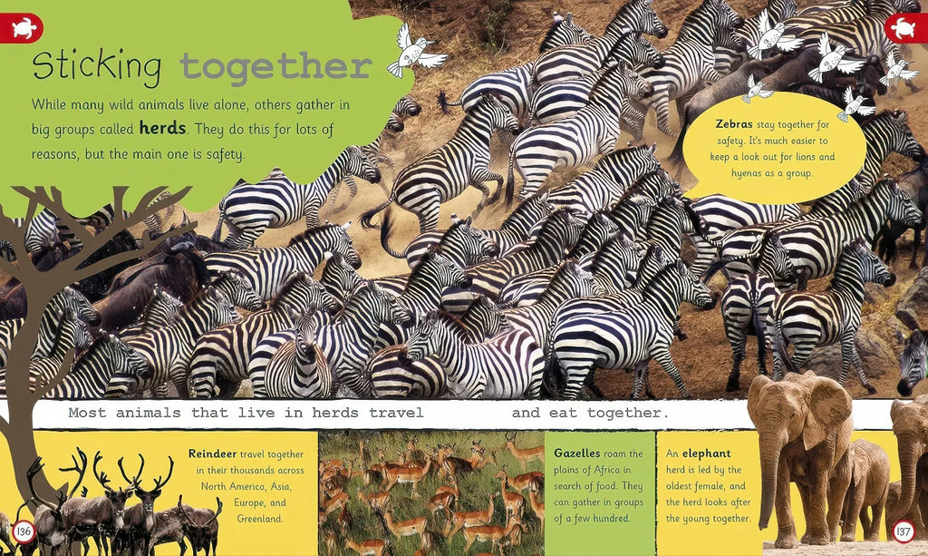 My Encyclopedia of Very Important Animals