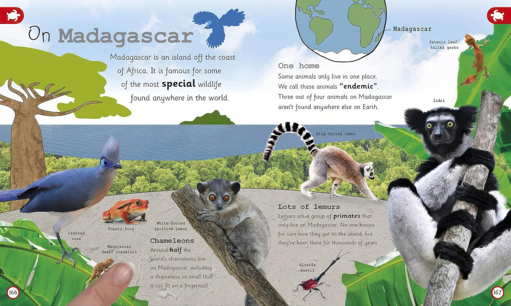 My Encyclopedia of Very Important Animals