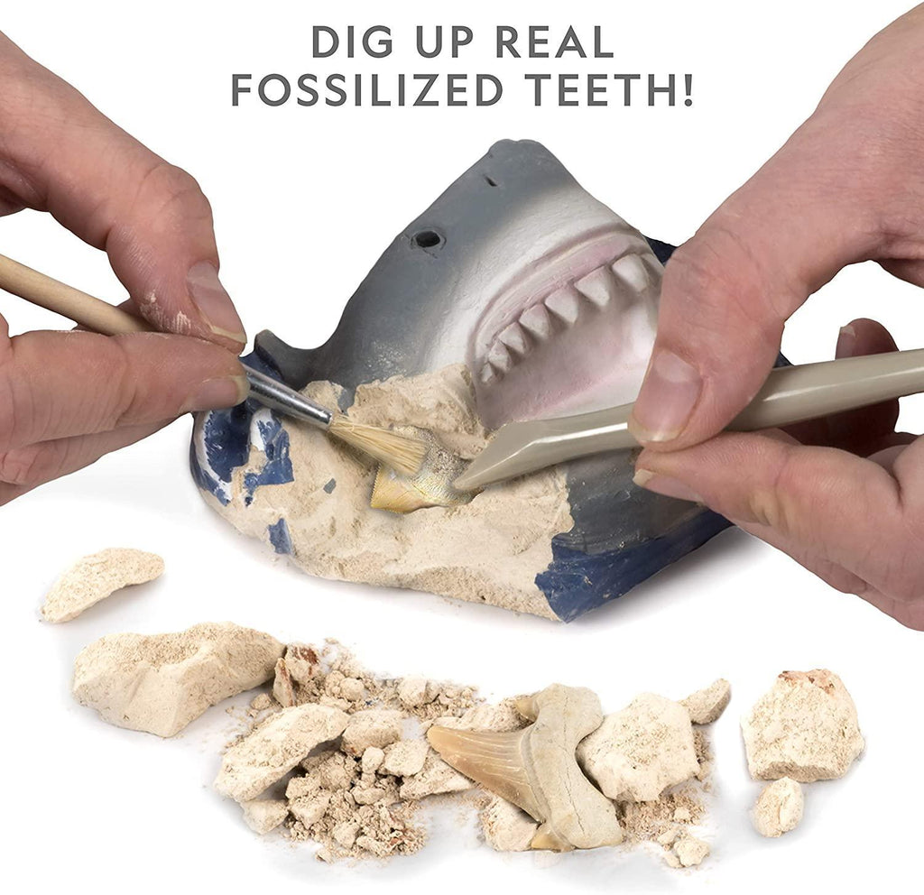 National Geographic Shark Tooth Mini Dig kit - TOYBOX Toy Shop