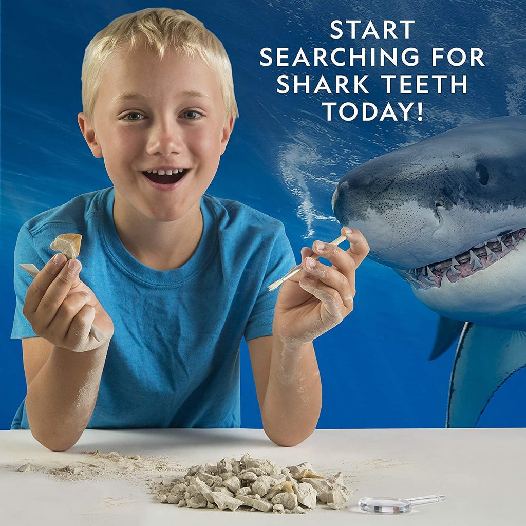National Geographic Shark Tooth Mini Dig kit - TOYBOX Toy Shop