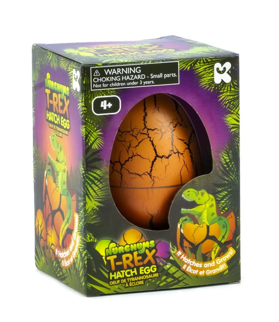 Nurchums Large T-Rex Dinosaur Hatching Egg - TOYBOX Toy Shop