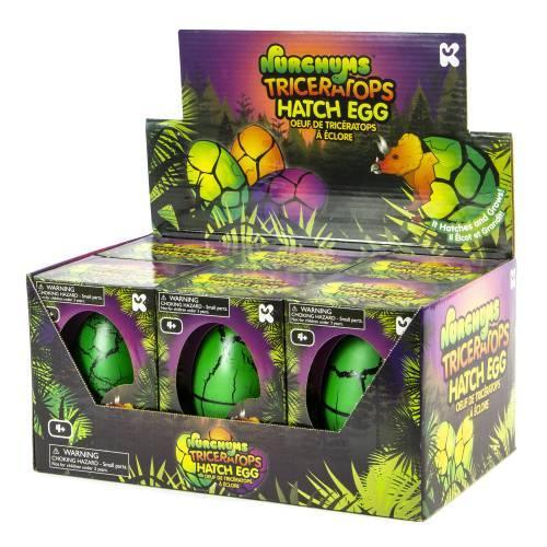 NURCHUMS Large Triceratops Hatching Eggs - TOYBOX Toy Shop