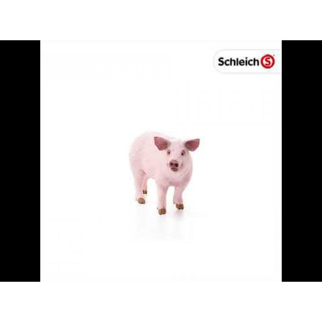 SCHLEICH 13782 Pig Figure - TOYBOX Toy Shop