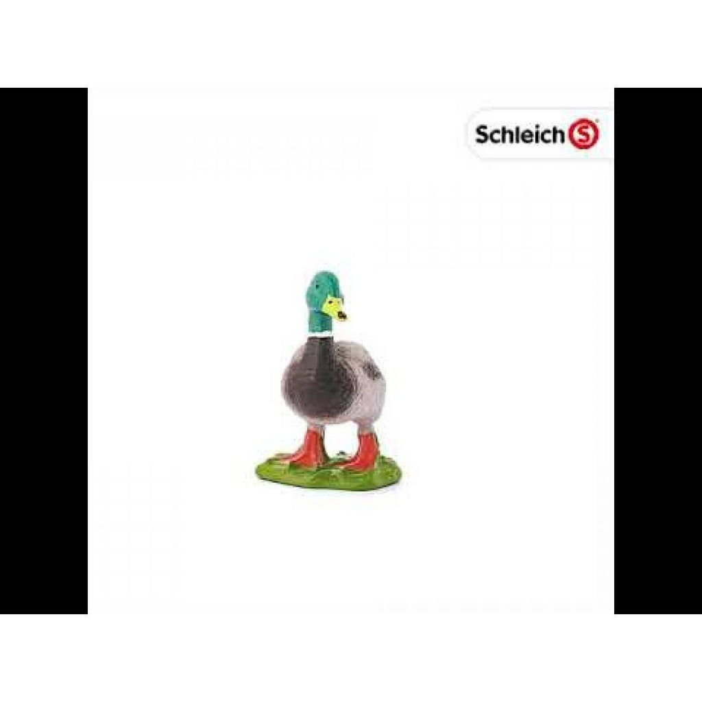 SCHLEICH 13824 Drake Male Duck Figure - TOYBOX Toy Shop