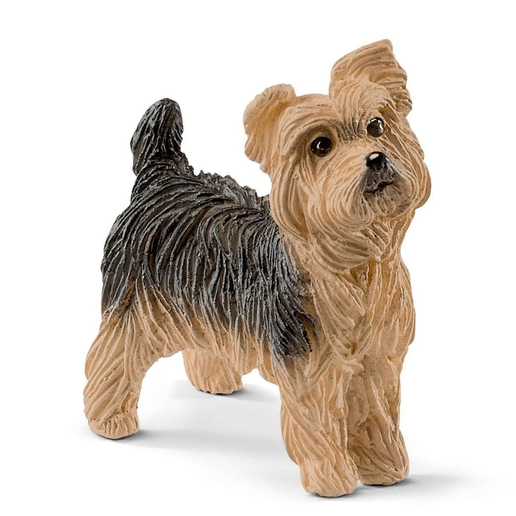 SCHLEICH 13876 Yorkshire Terrier Dog Figure - TOYBOX Toy Shop