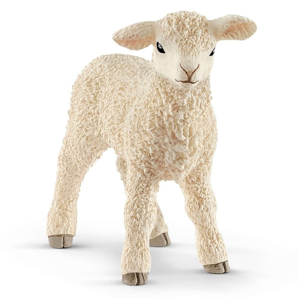 SCHLEICH 13883 Lamb Figure - TOYBOX Toy Shop