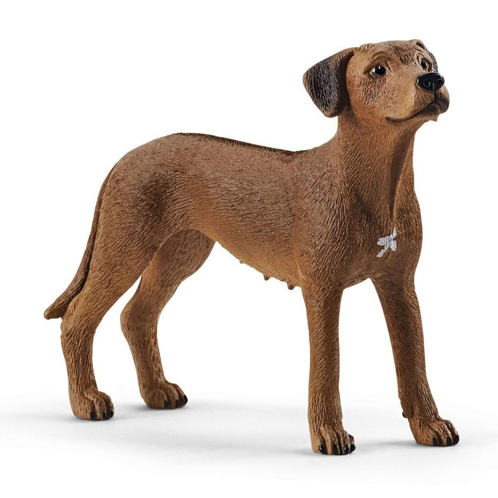 Schleich 13895 Rhodesian Ridgeback Dog Figure - TOYBOX Toy Shop