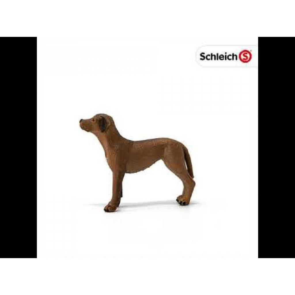 Schleich 13895 Rhodesian Ridgeback Dog Figure - TOYBOX Toy Shop