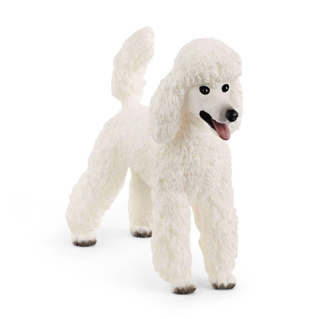 SCHLEICH 13917 Poodle Dog Figure - TOYBOX Toy Shop
