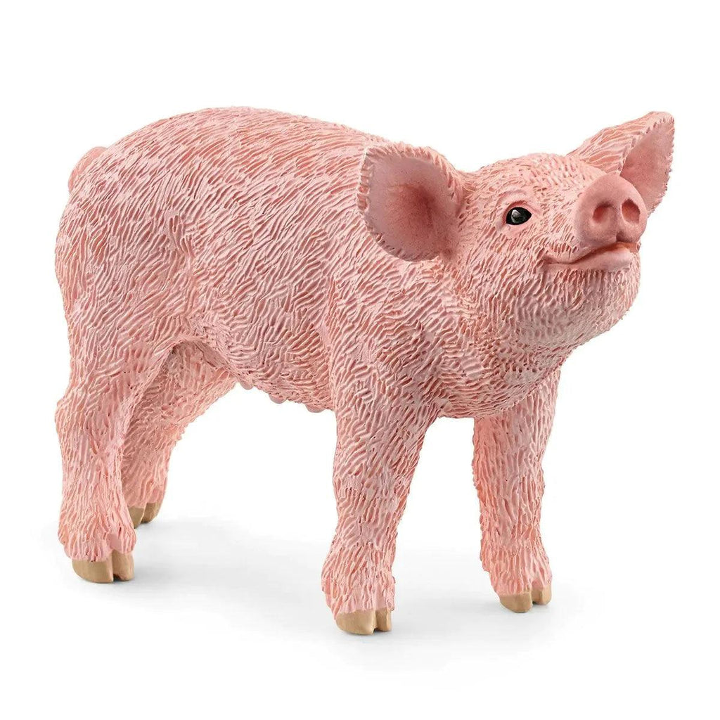 SCHLEICH 13934 Piglet Figure - TOYBOX Toy Shop