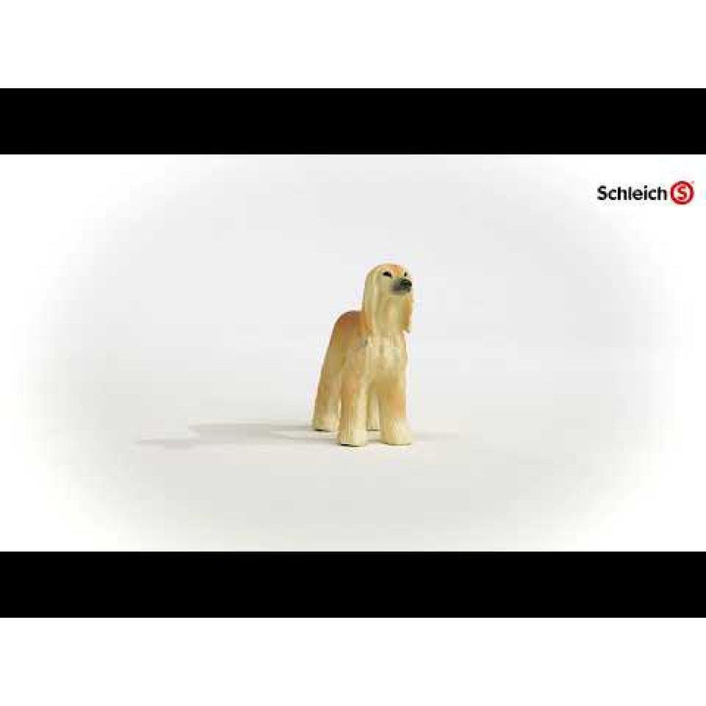 Schleich 13938 Afghan Hound Figure - TOYBOX Toy Shop