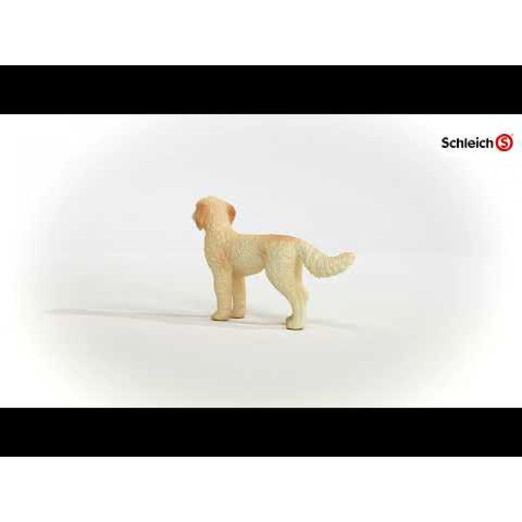 SCHLEICH 13939 Goldendoodle Dog Figure - TOYBOX Toy Shop
