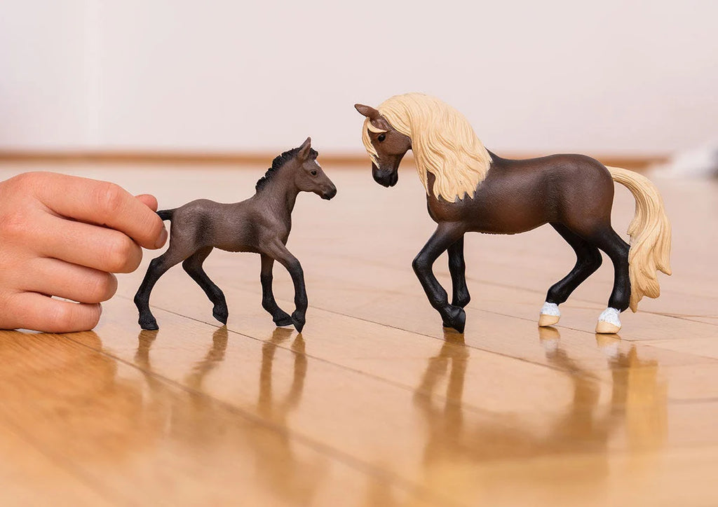 Schleich Paso Peruano Stallion - TOYBOX Toy Shop