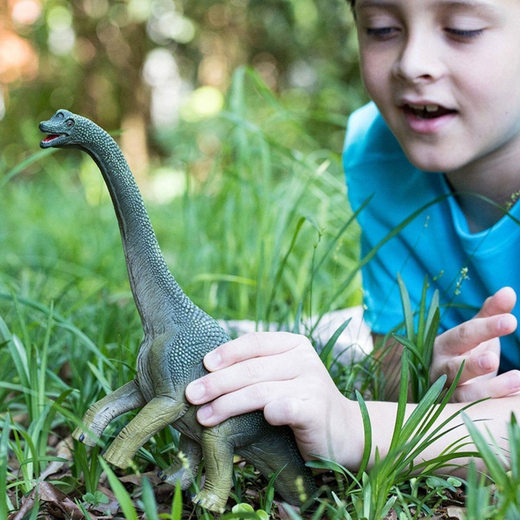 Schleich 14581 Brachiosaurus Dinosaur Figure - TOYBOX Toy Shop