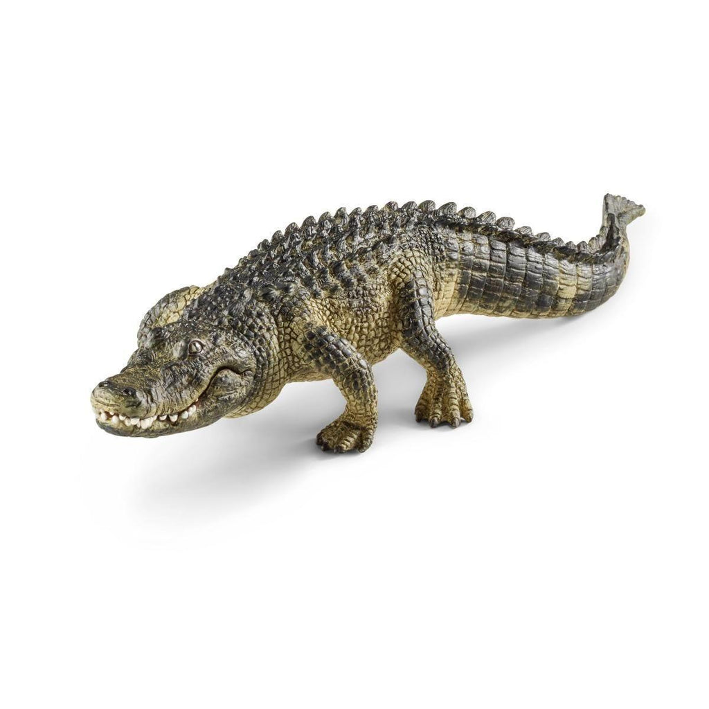 Schleich 14727 Alligator Figure - TOYBOX Toy Shop