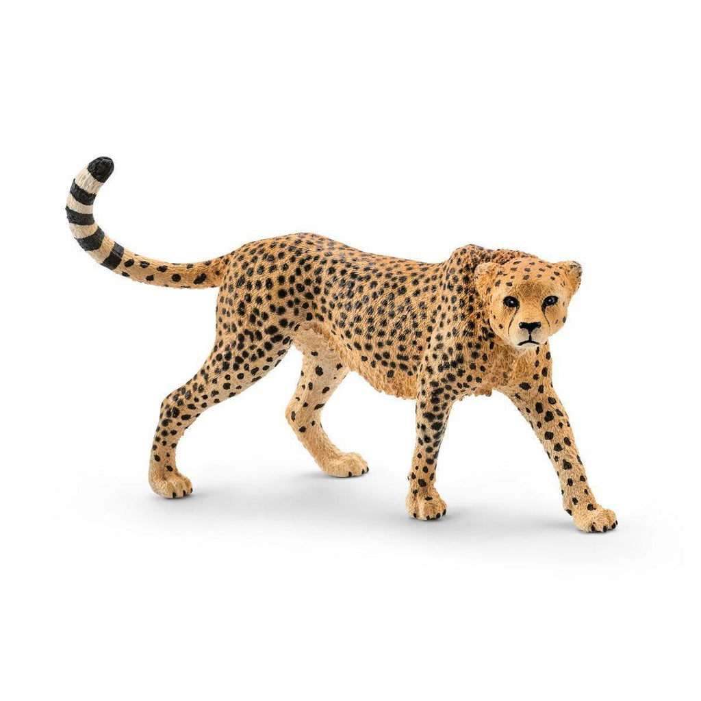 Schleich 14746 Cheetah Female Figure - TOYBOX Toy Shop