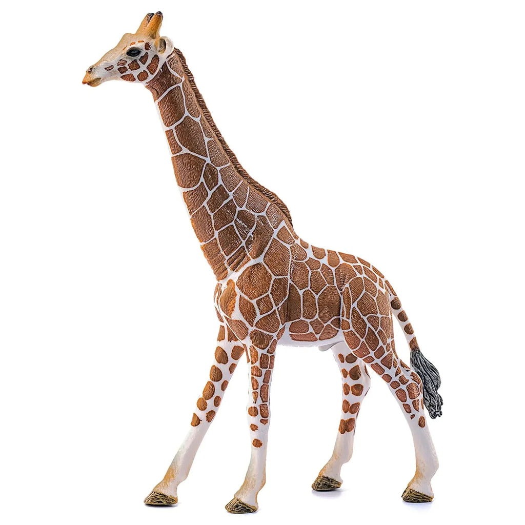 Schleich 14749 Male Giraffe Figure - TOYBOX Toy Shop