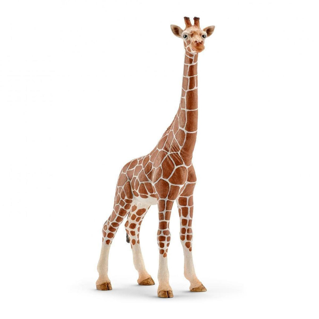 SCHLEICH 14750 Female Giraffe Figure - TOYBOX Toy Shop
