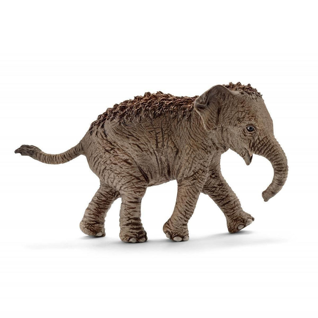 Schleich 14755 Asian Elephant Calf Figure - TOYBOX Toy Shop