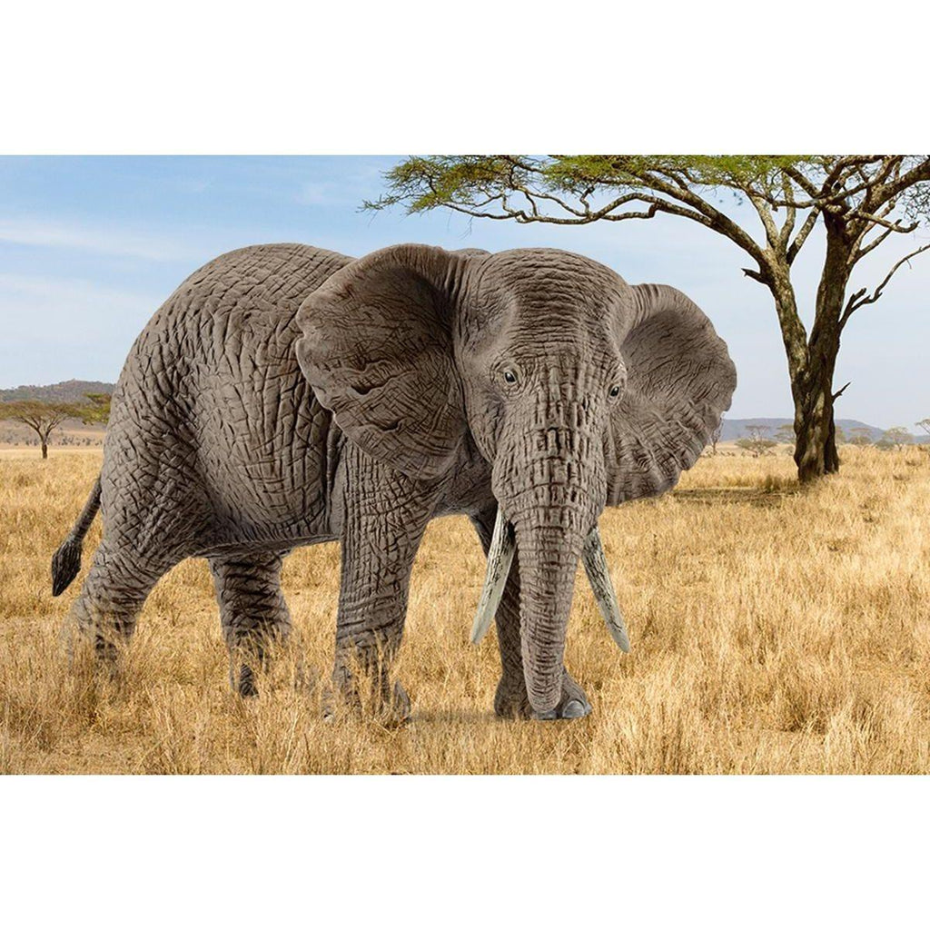 Schleich 14761 African Elephant Female Figure - TOYBOX Toy Shop