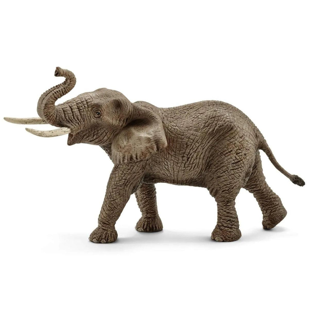 SCHLEICH 14762 Male African Elephant Figure - TOYBOX Toy Shop