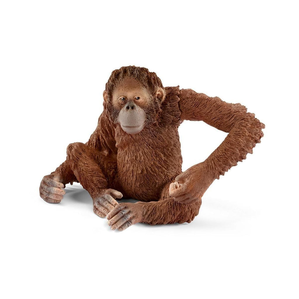 Schleich 14775 Orangutan Female Figure - TOYBOX Toy Shop