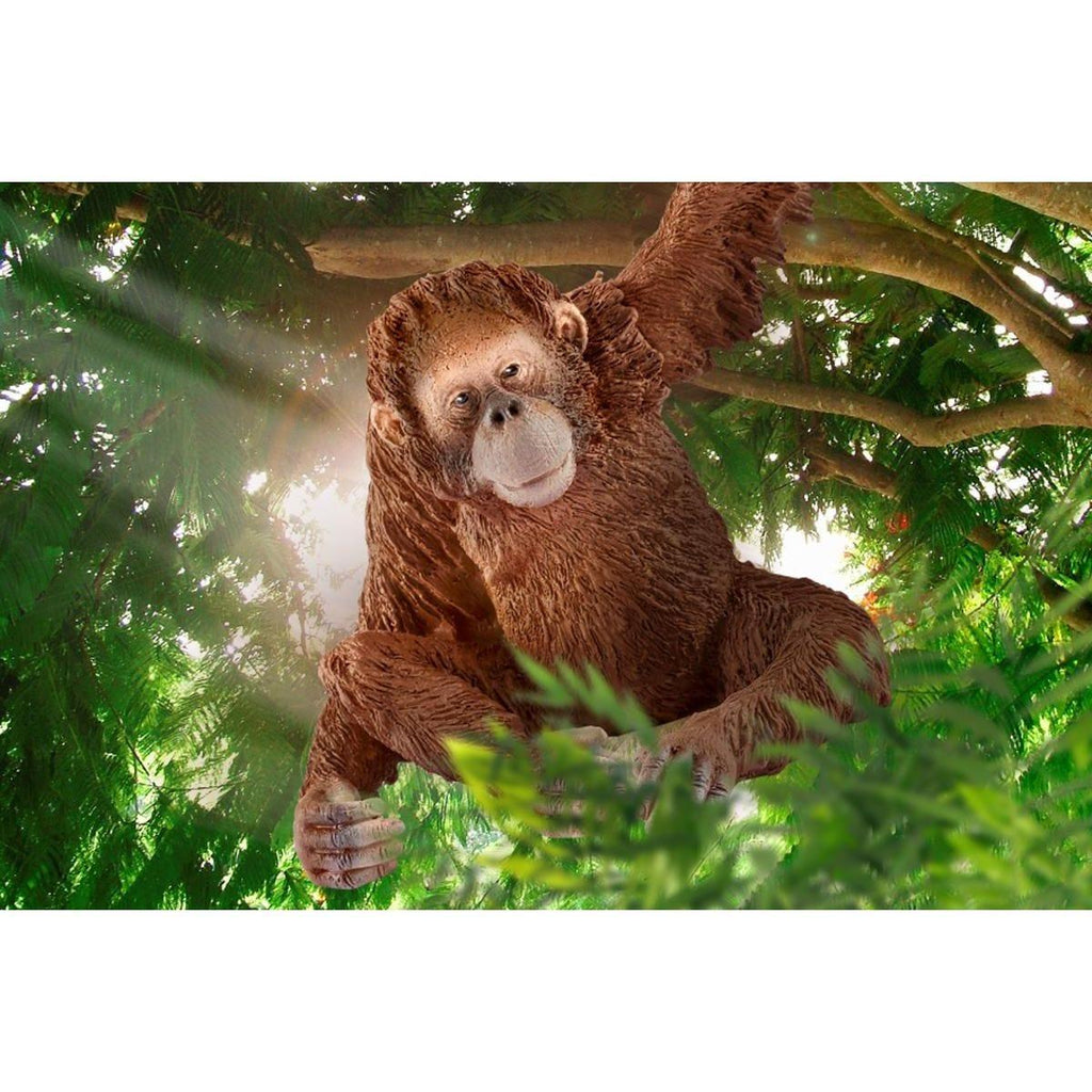 Schleich 14775 Orangutan Female Figure - TOYBOX Toy Shop
