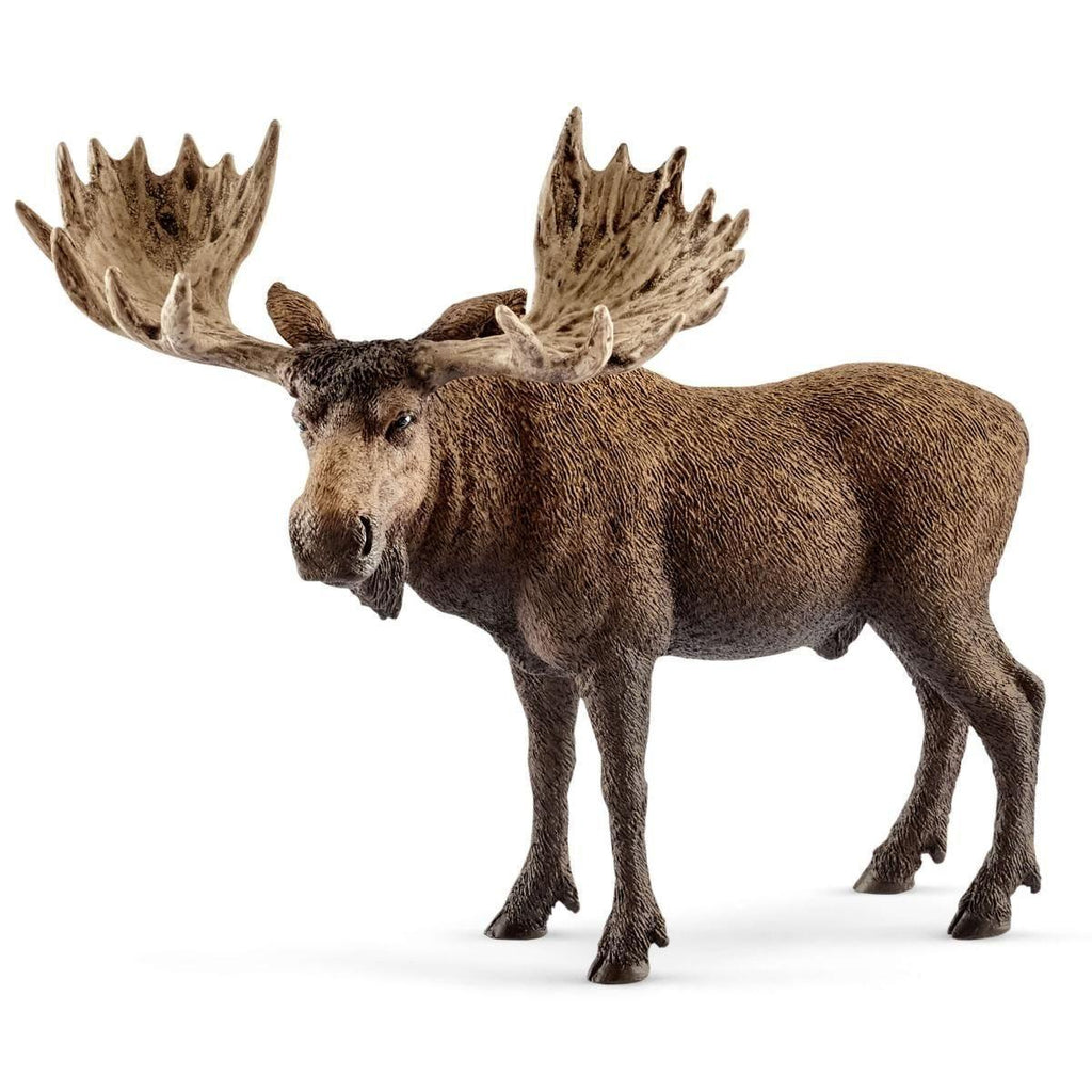 Schleich 14781 Moose Bull Figure - TOYBOX Toy Shop