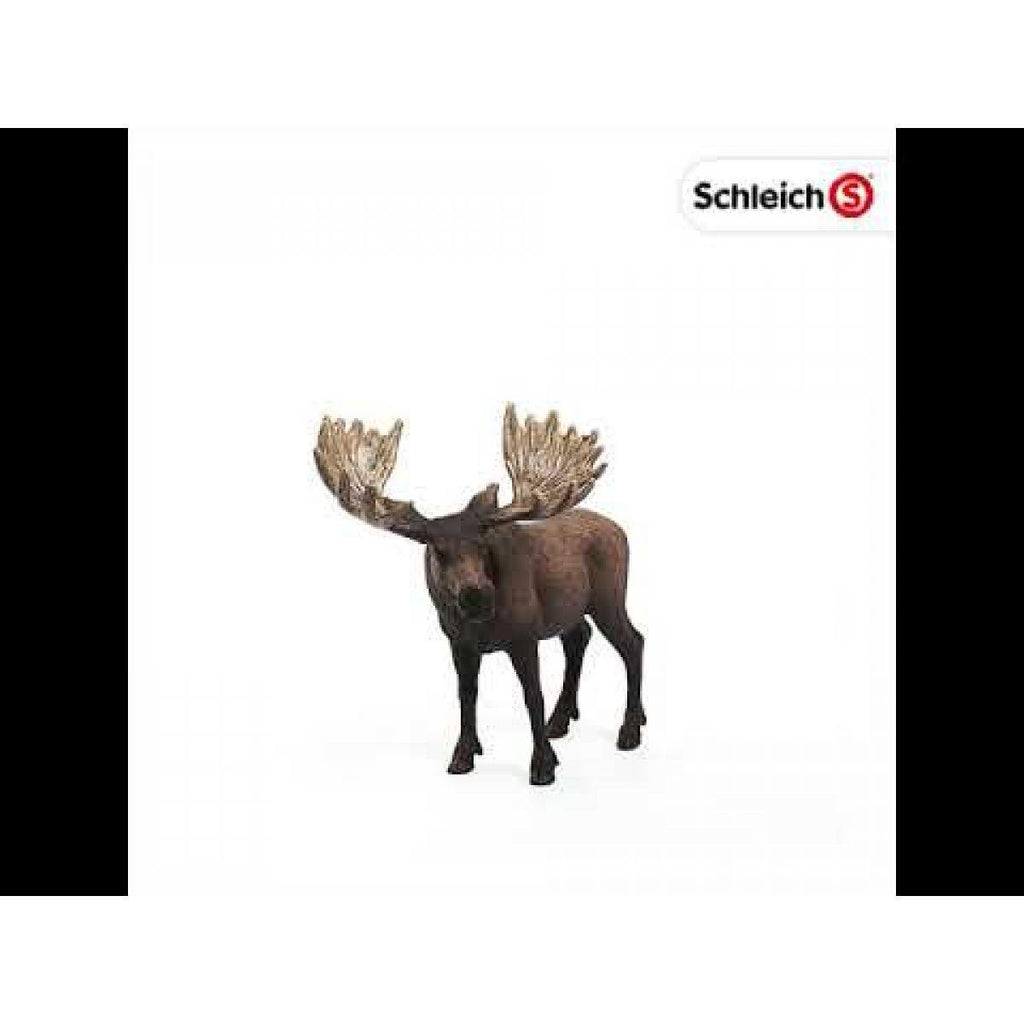 Schleich 14781 Moose Bull Figure - TOYBOX Toy Shop