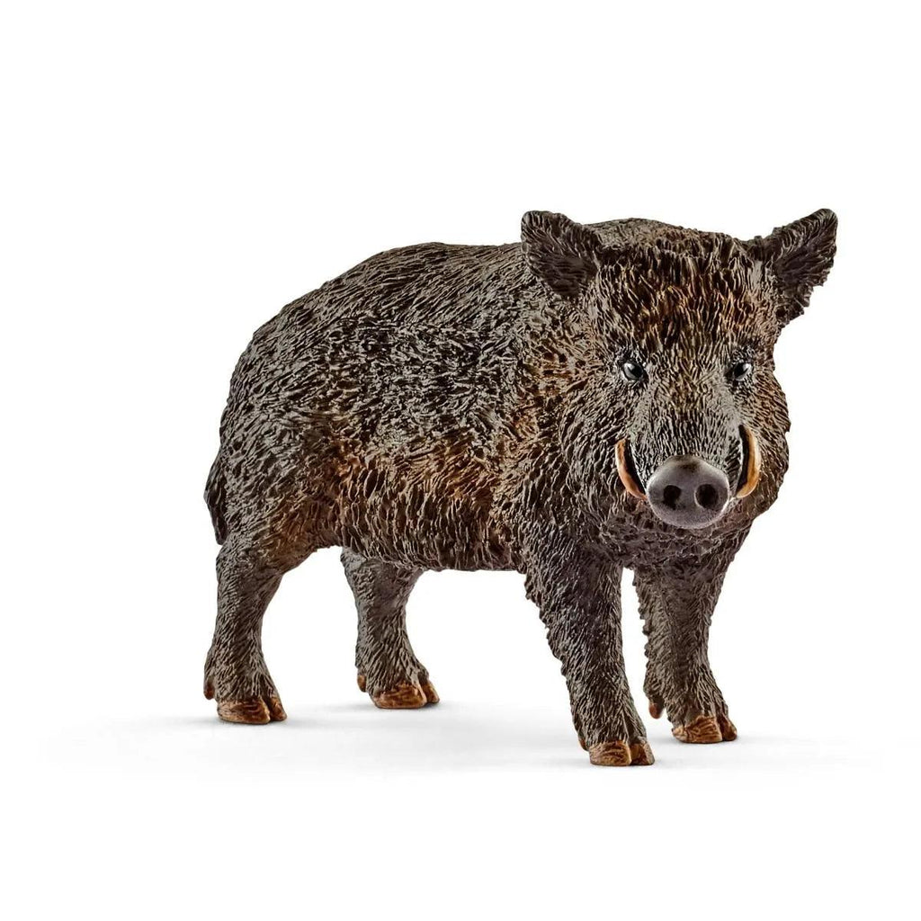 SCHLEICH 14783 Wild Boar Figure - TOYBOX Toy Shop