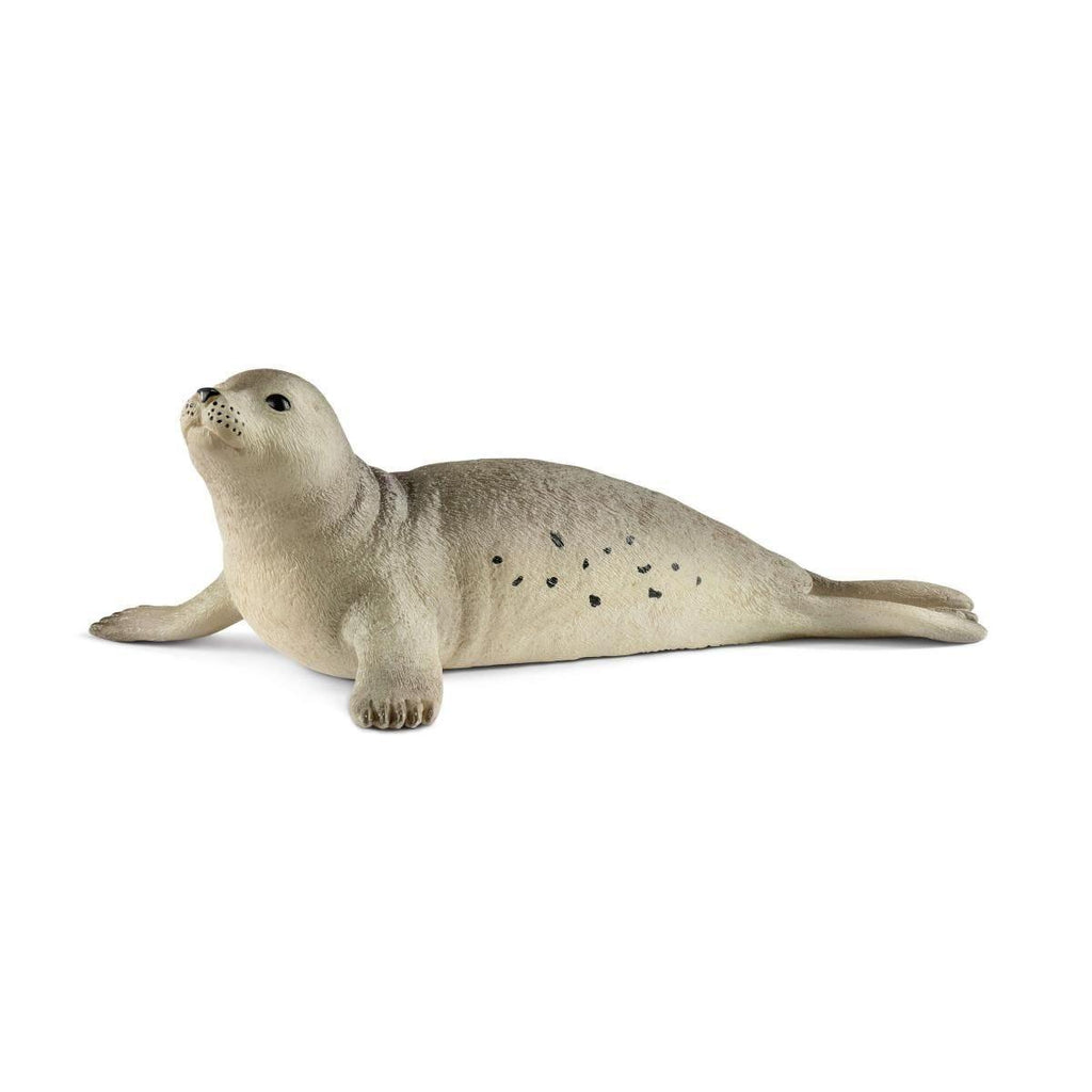 Schleich 14801 Seal Figure - TOYBOX Toy Shop