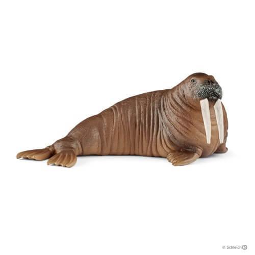 Schleich 14803 Walrus Wild Life Figure - TOYBOX Toy Shop Cyprus