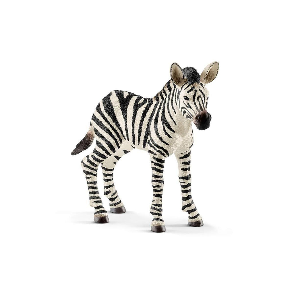 Schleich 14811 Zebra Foal Figure - TOYBOX Toy Shop