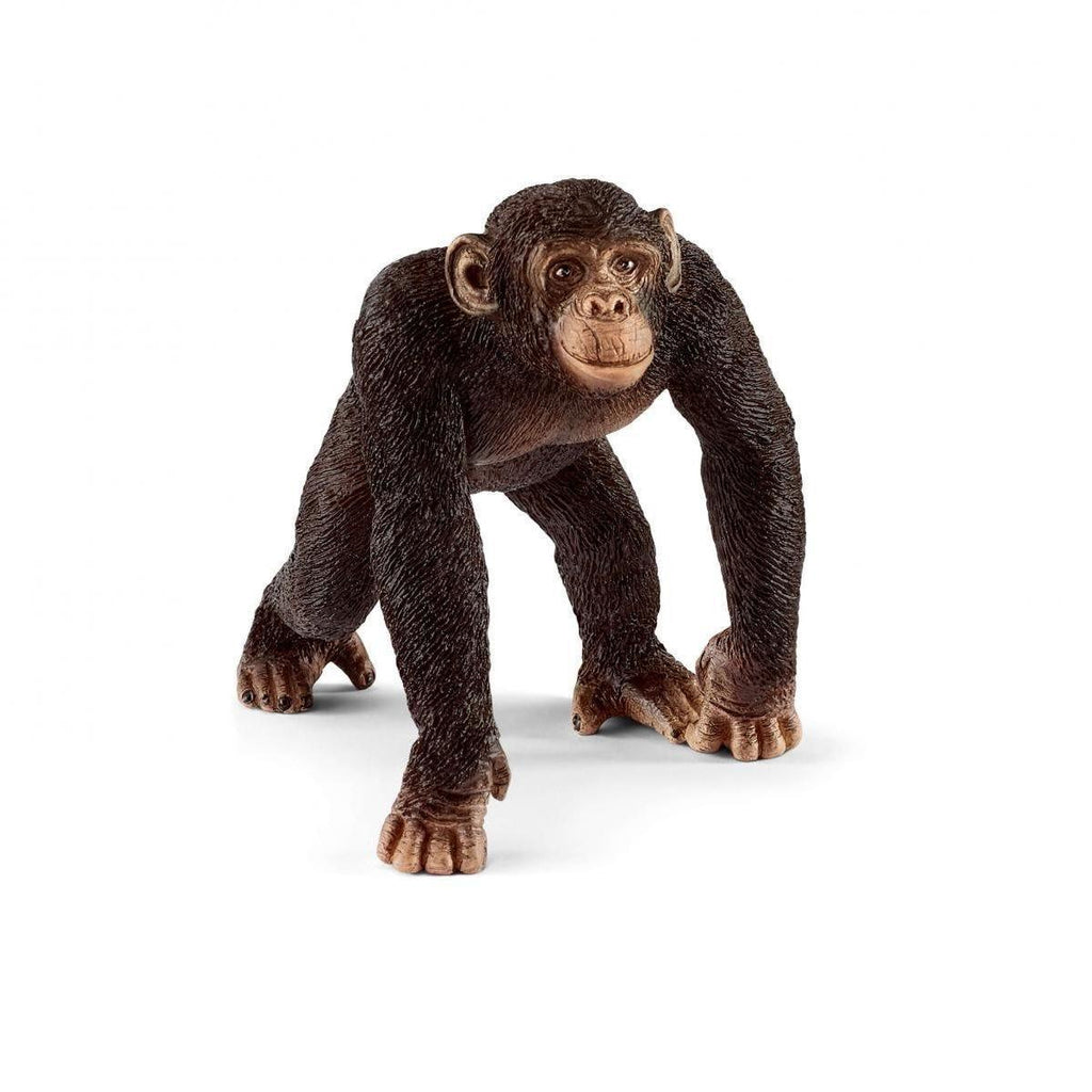 Schleich 14817 Chimpanzee Male Figure - TOYBOX Toy Shop