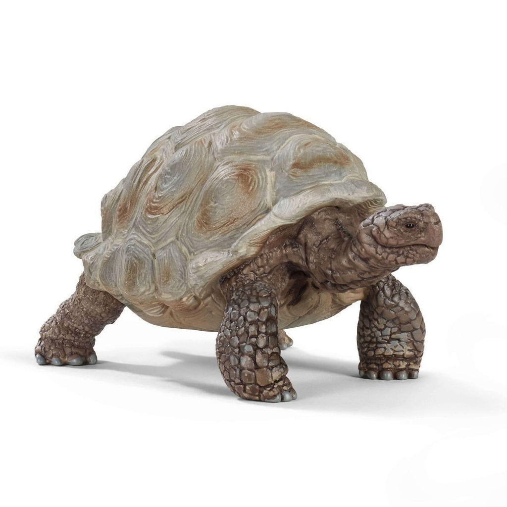 SCHLEICH 14824 Giant Tortoise Figure - TOYBOX Toy Shop