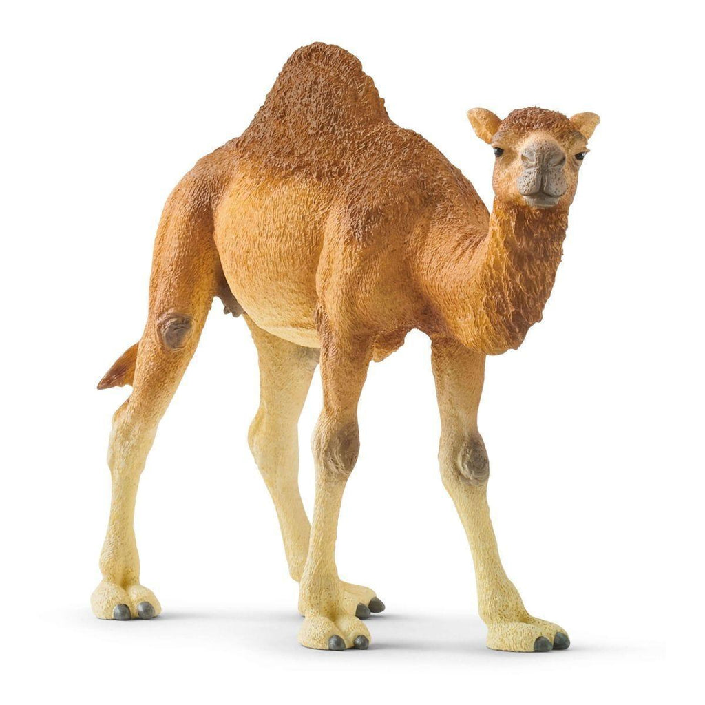 Schleich 14832 Dromedary One-Humped Camel Figure - TOYBOX Toy Shop Cyprus