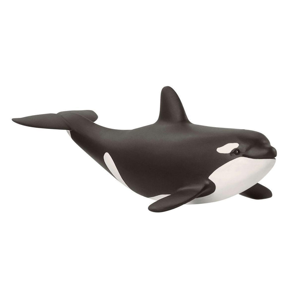Schleich 14836 Baby Orca Killer Whale Figure - TOYBOX Toy Shop
