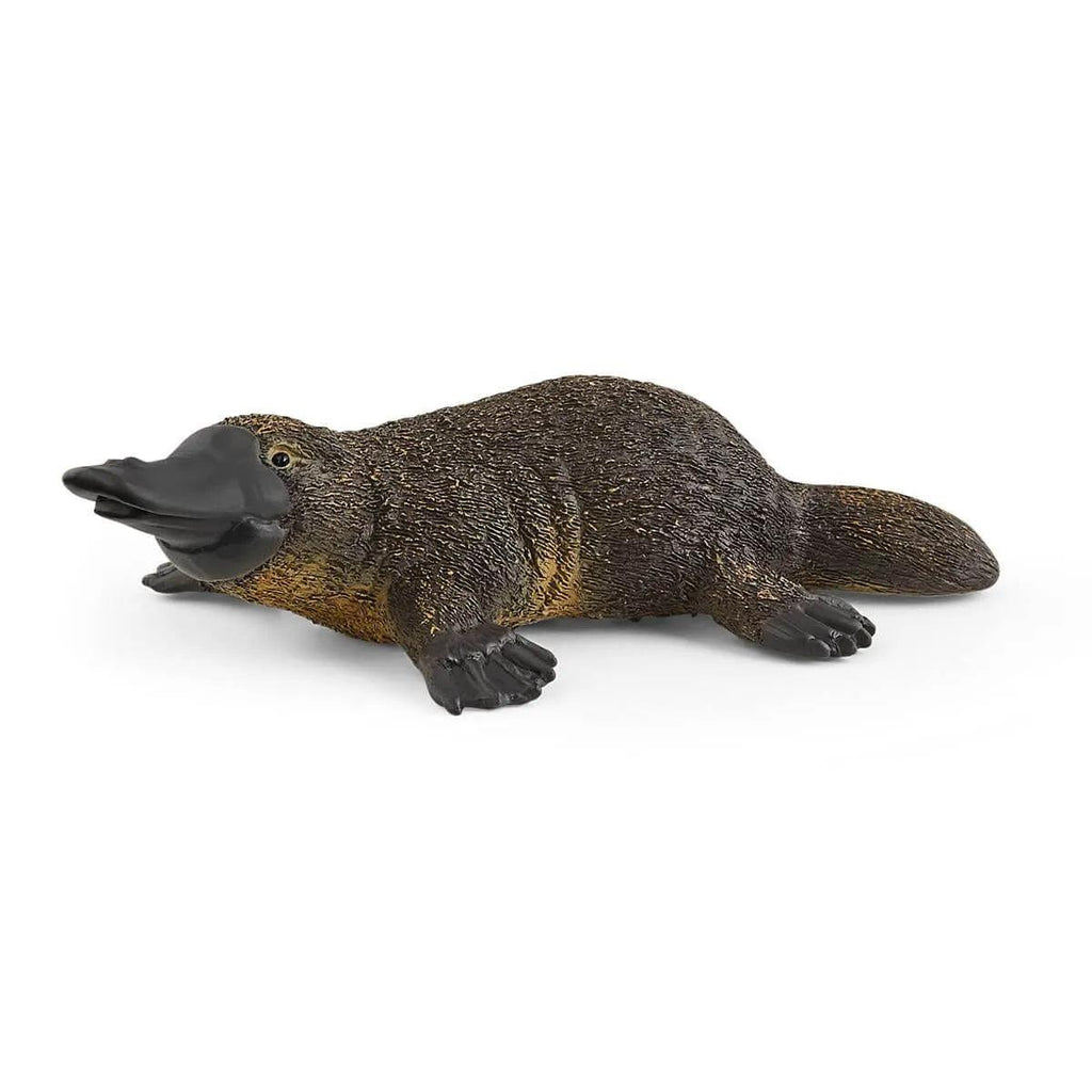 SCHLEICH 14840 Platypus Figure - TOYBOX Toy Shop