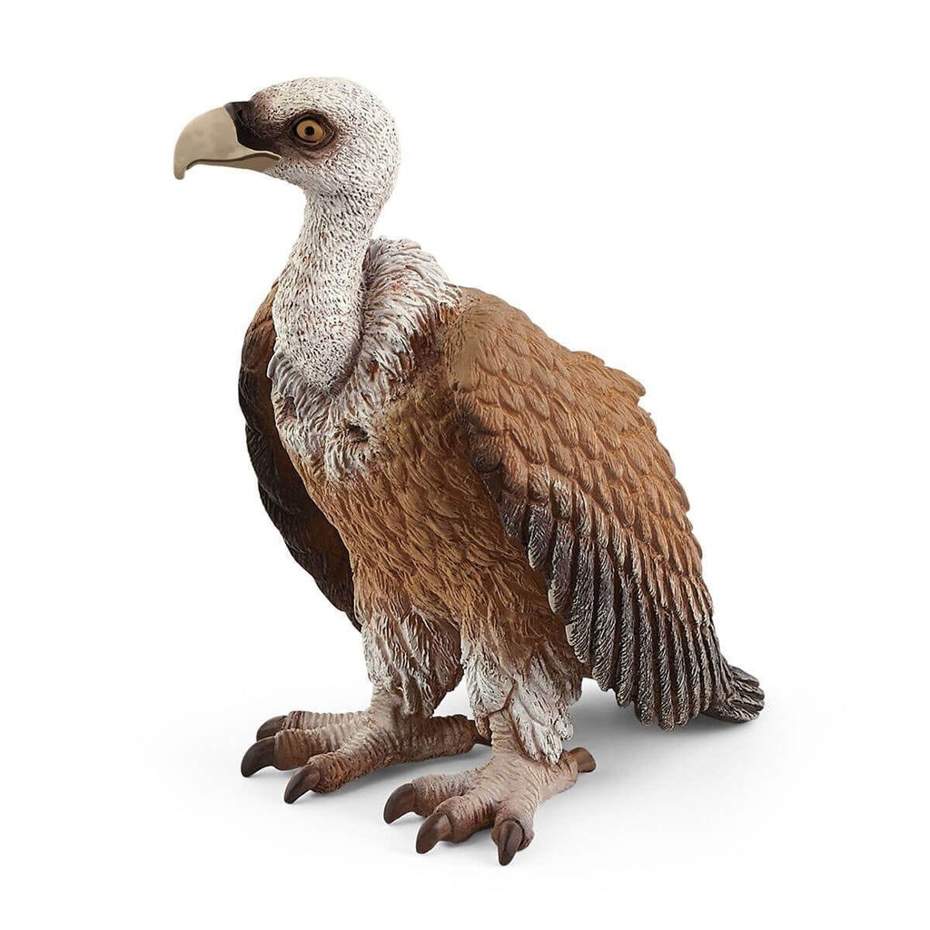 SCHLEICH 14847 Wildlife Vulture Figure - TOYBOX Toy Shop