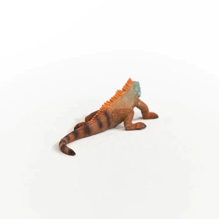 SCHLEICH 14854 Iguana Figure - TOYBOX Toy Shop