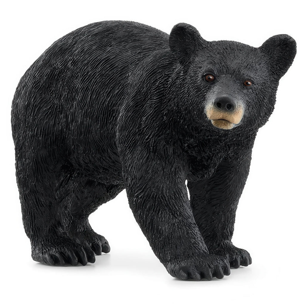 Schleich 14869 American Black Bear - TOYBOX Toy Shop